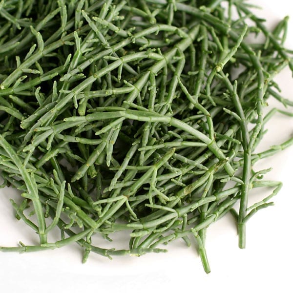 Samphire