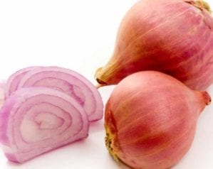 Shallot