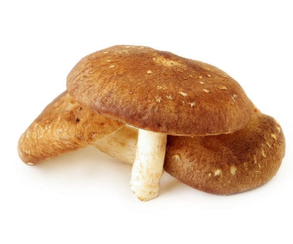 Mushroom toad in the hole
