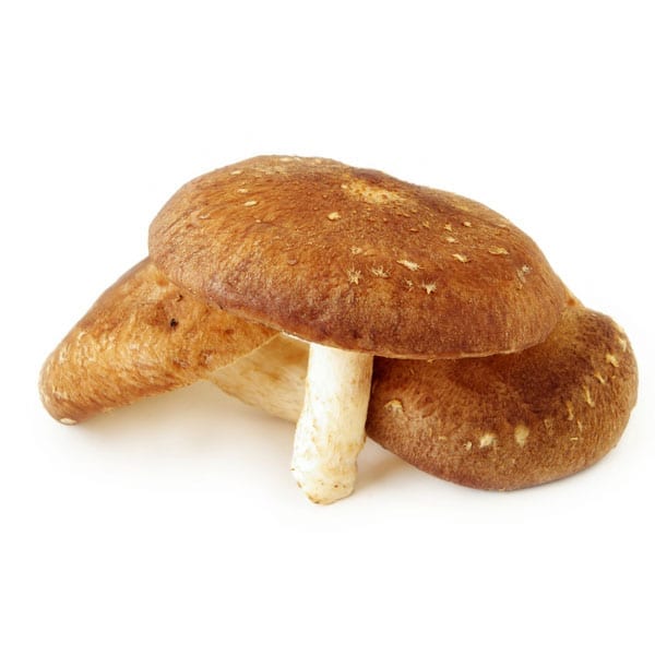 Shiitake