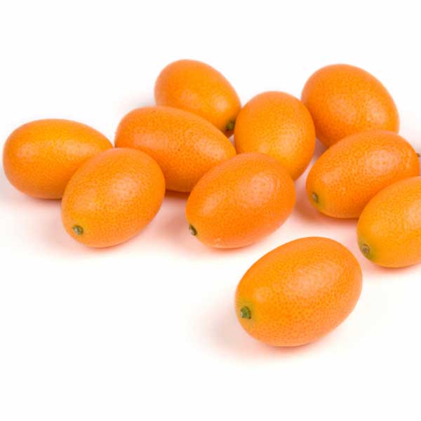 Kumquat