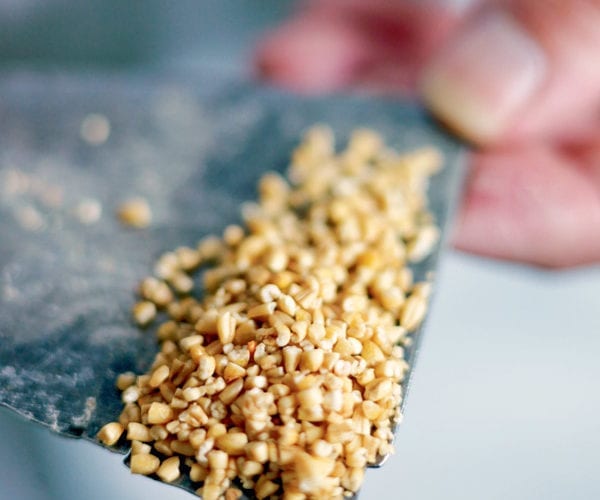 different types of oats