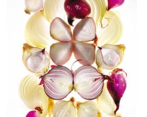 The health benefits of onions