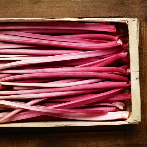 Go barmy for rhubarb
