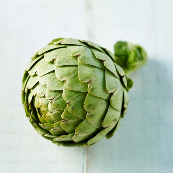 How to prepare a globe artichoke