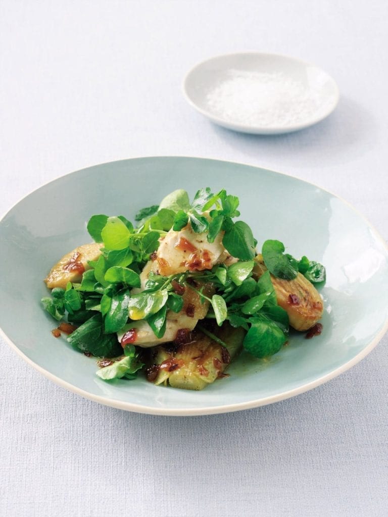 Seared chicken and fennel salad with a red onion dressing