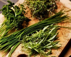 How to keep picked herbs fresh