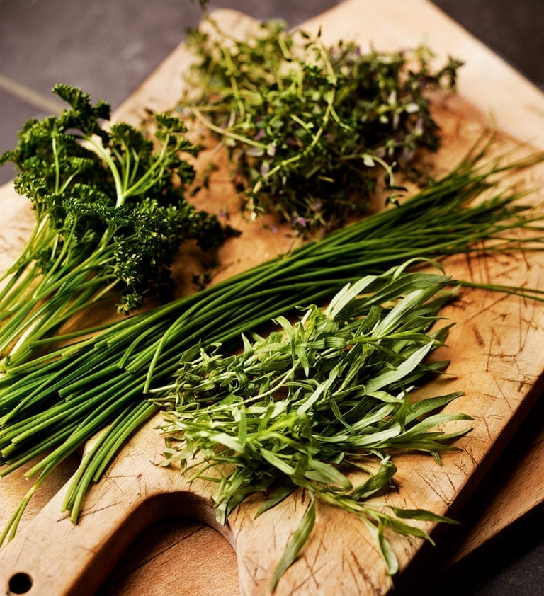 How to keep picked herbs fresh