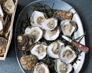 How to shuck an oyster