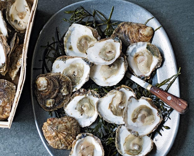 Oysters and stout