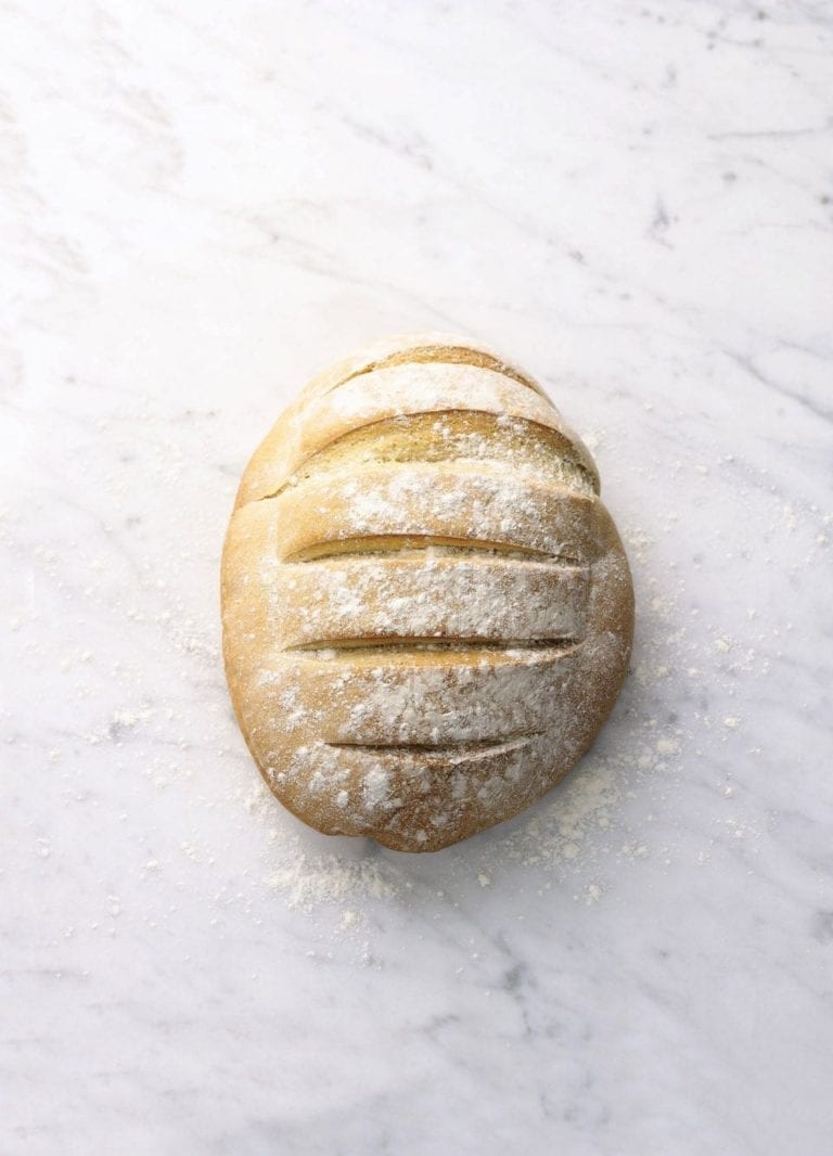 Basic white rustic loaf