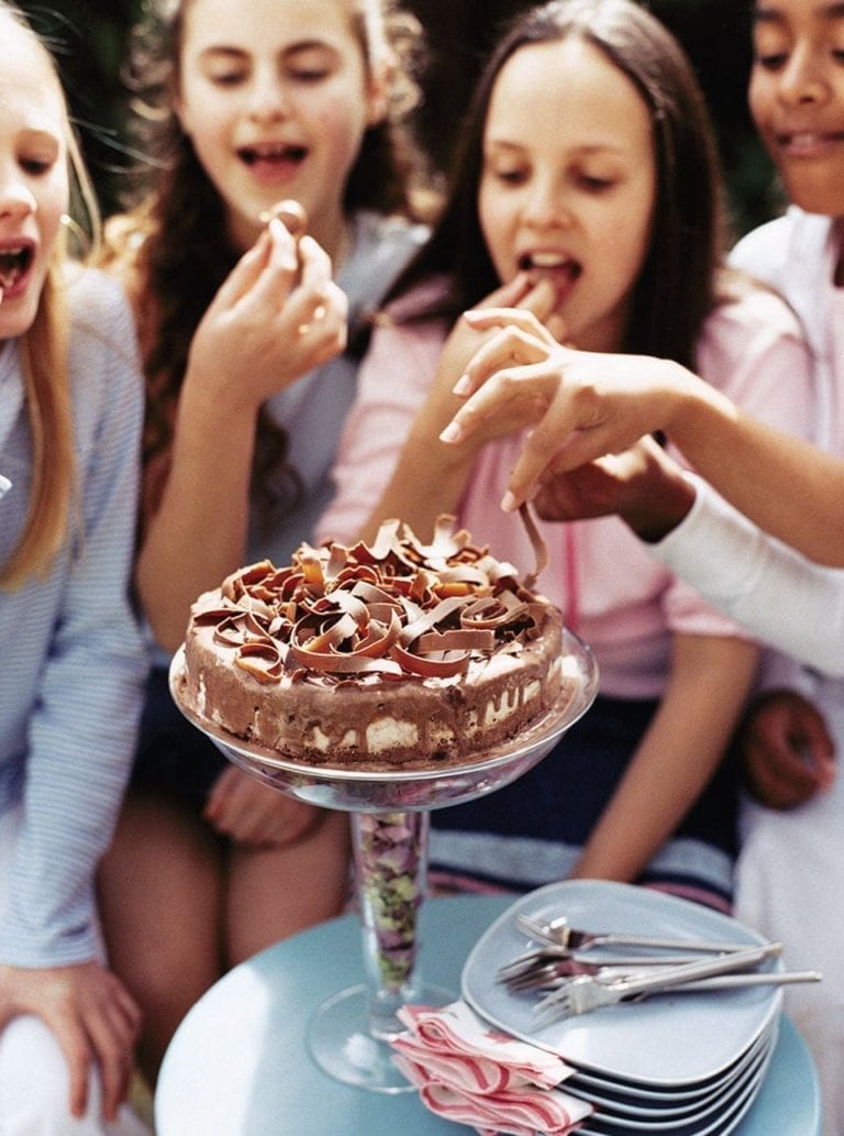 Chocolate ice cream cake