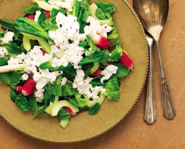 Grilled spring onions, cucumber salad with radishes and cottage cheese