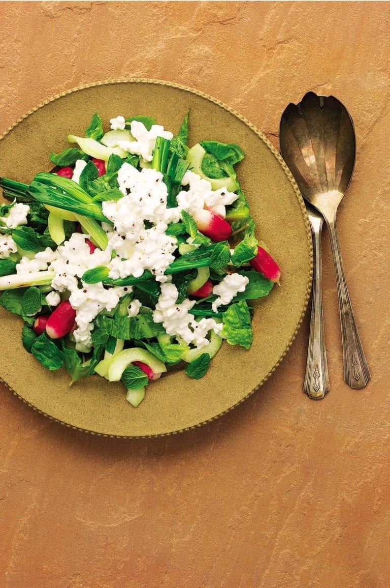 Grilled spring onions, cucumber salad with radishes and cottage cheese