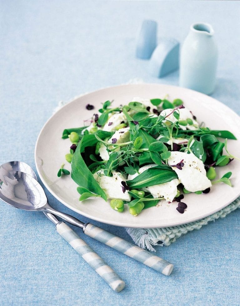 Buffalo mozzarella with broad bean and young leaf salad