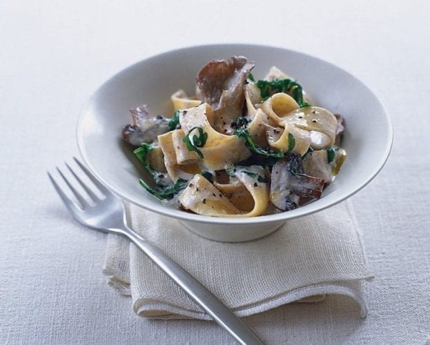 Pasta with wild mushroom sauce