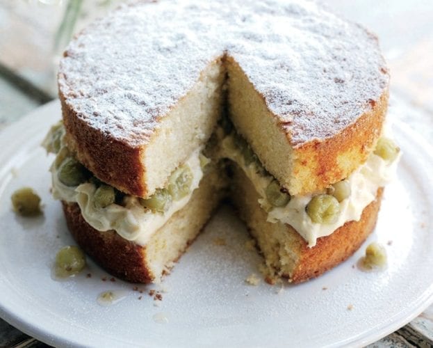Gooseberry sponge cake (Victoria sponge cake)