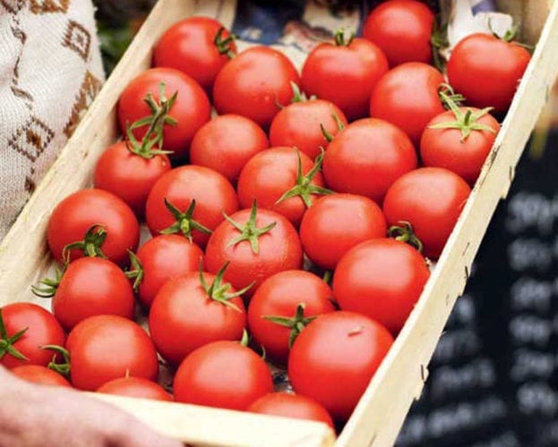 Simple tomato salad