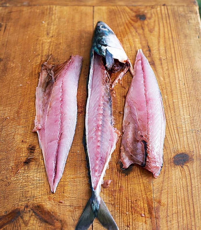 Filleting fish