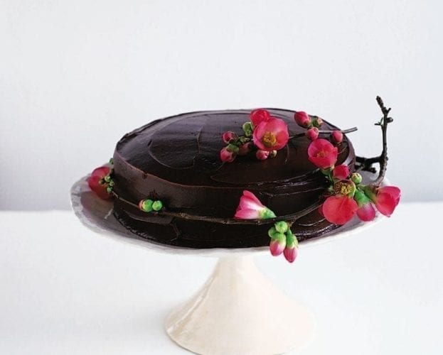 Simple chocolate fudge cake