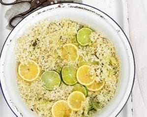 Elderflower recipes