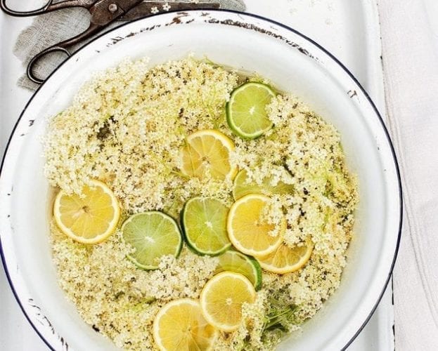 Elderflower recipes