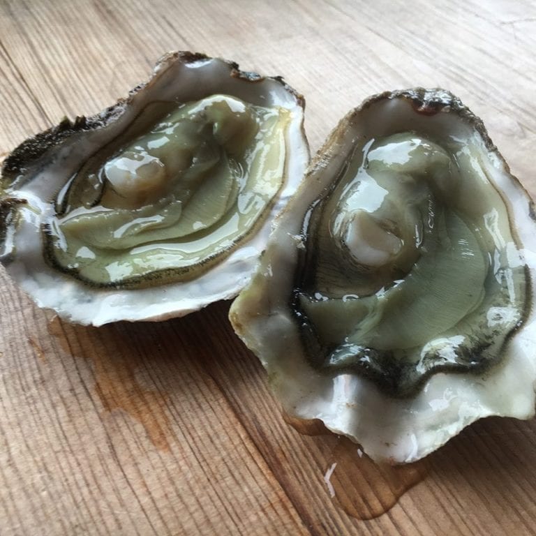 Colchester Oyster Fishery