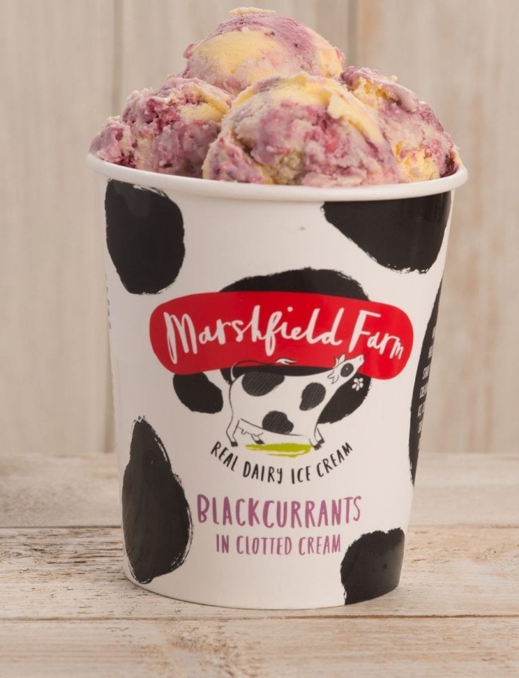 Marshfield Farm Ice Cream