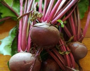 How to grow beetroot