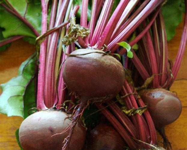 Baked beetroot with horseradish mash