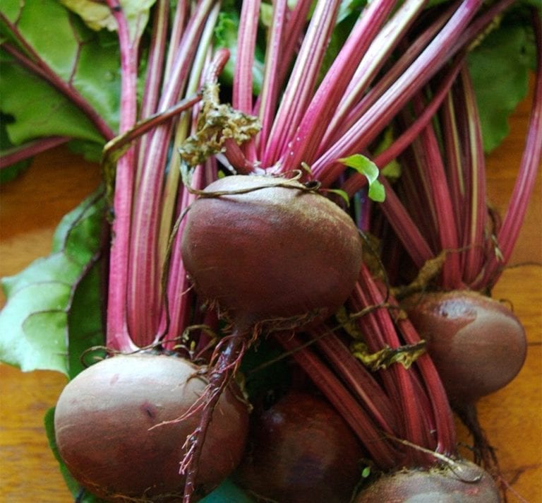 How to grow beetroot