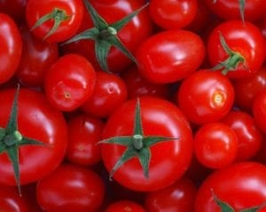 How to grow tomatoes