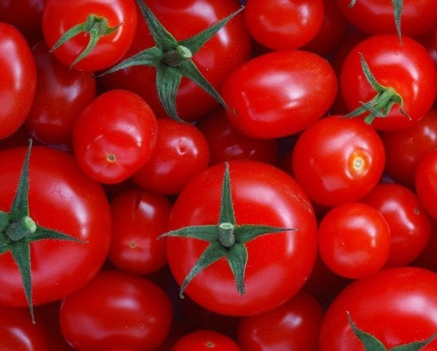 Tomato and bread salad with mozzarella