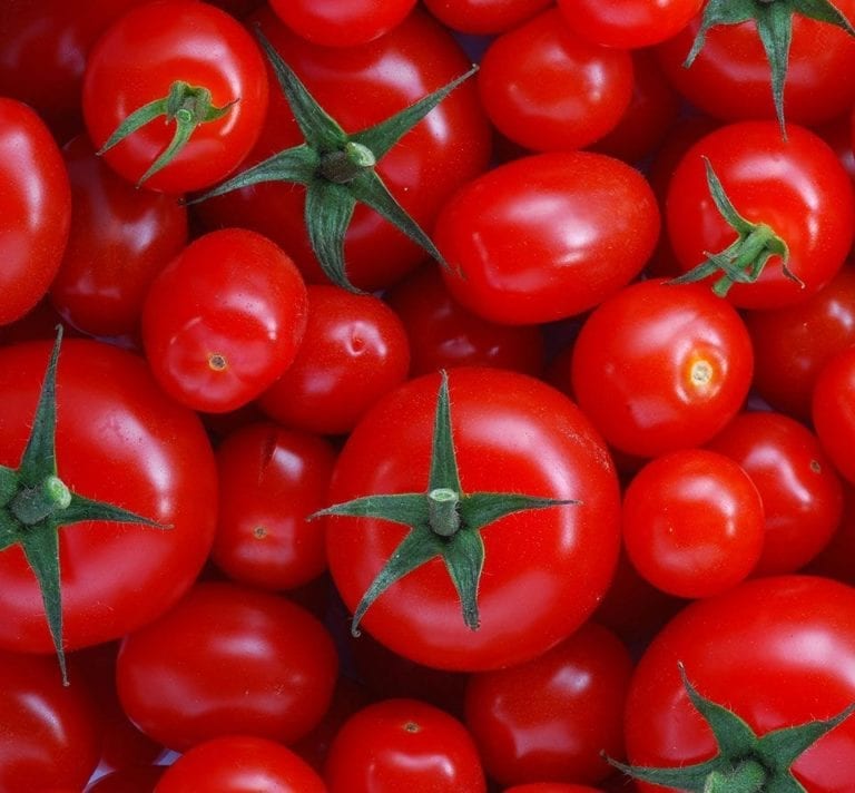 How to grow tomatoes