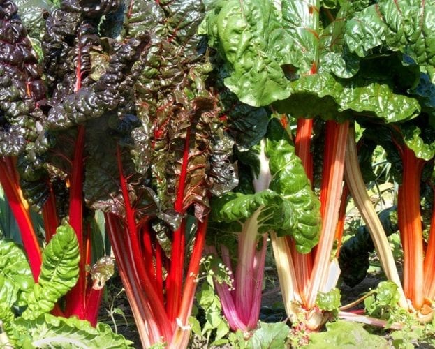 Blanching