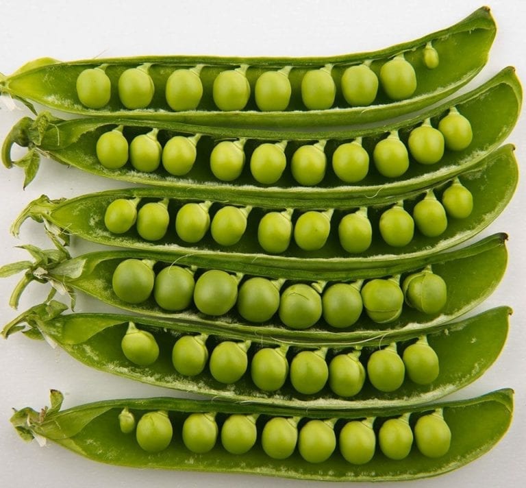 How to grow peas