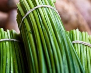 How to grow chives