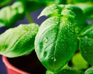 Get ready to grow