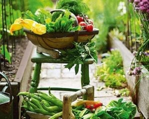 5 reasons to grow your own fruit and veg