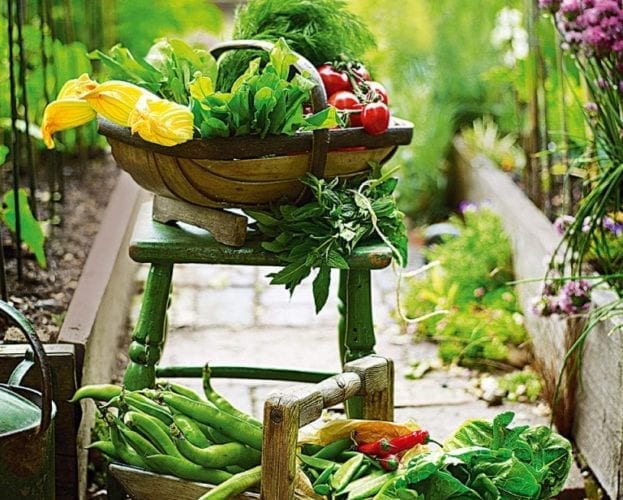 grow your own fruit and vegetables
