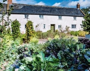 Cookery school review: River Cottage