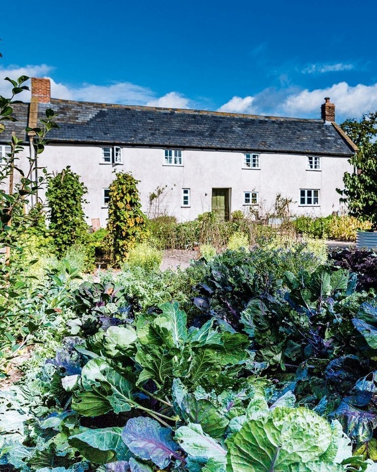 Cookery school review: River Cottage