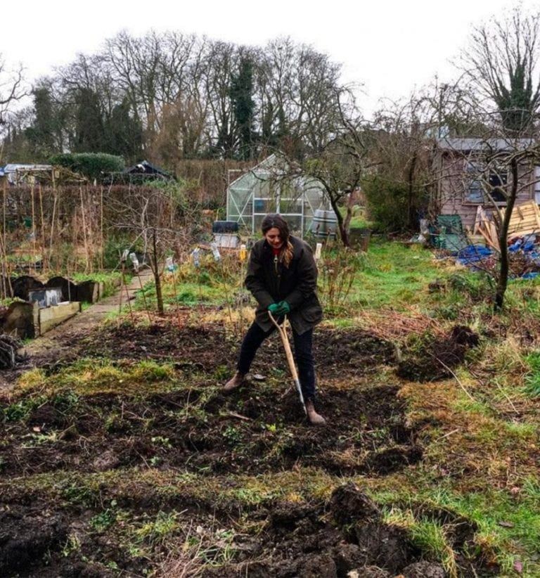 15 top gardening tips from folk who know