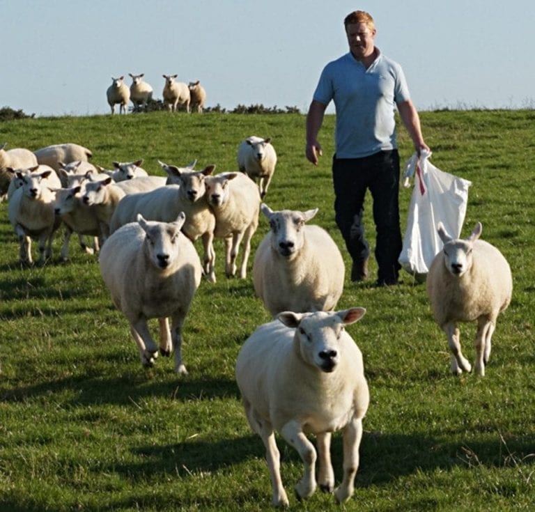 New Close Farm Shop