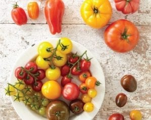 Tomato Stall