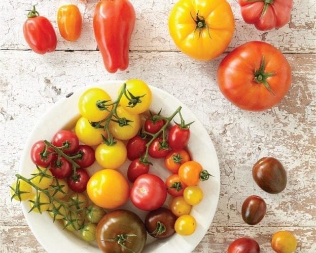 Chicken, tomato, feta and lemon salad