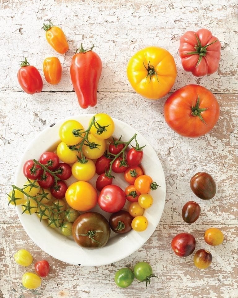 Tomato Stall