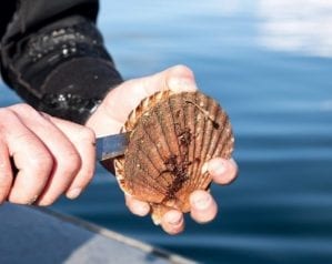2017 delicious. Produce Awards winner: The Ethical Shellfish Company