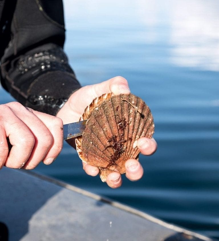 2017 delicious. Produce Awards winner: The Ethical Shellfish Company