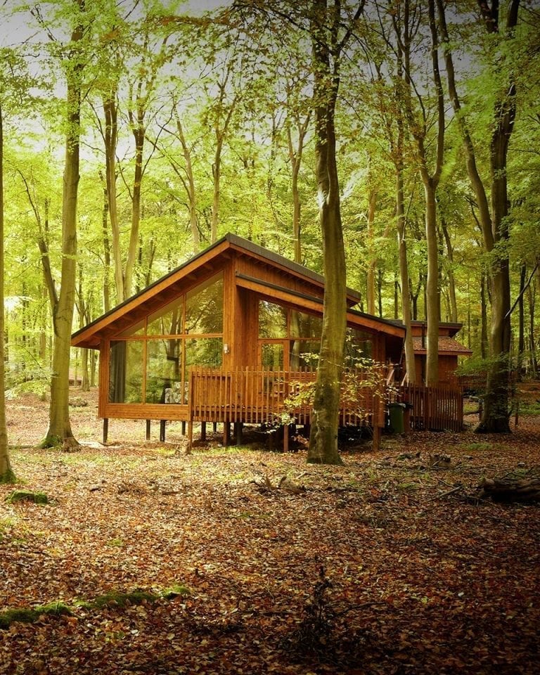 Forest Holidays, Blackwood, cabin review